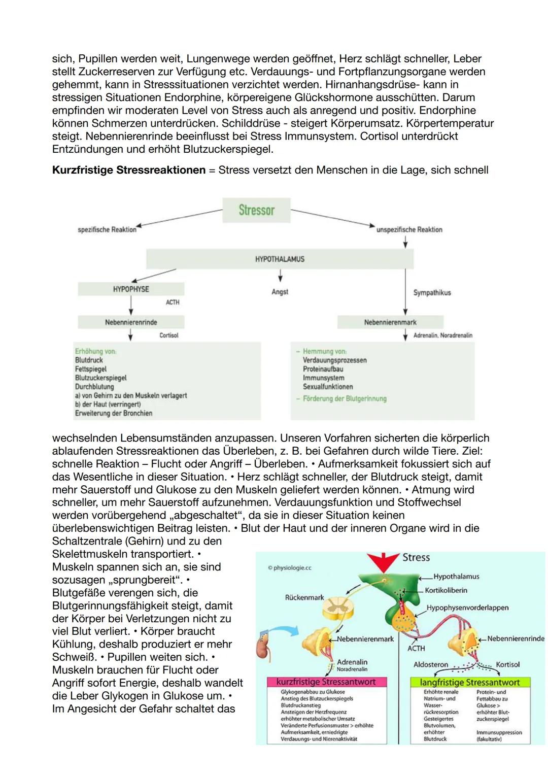 # Gesundheit und Pflege Klausur

# Nr.3

# Hormonsystem

Hormone sind Botenstoffe des Körpers, die Informationen zwischen
verschiedenen Orga