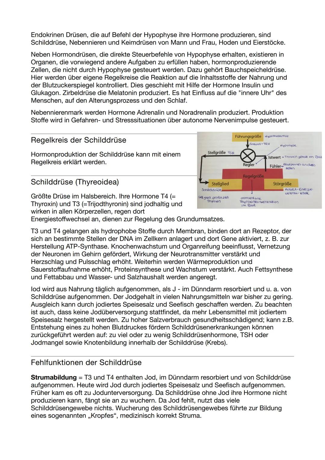 # Gesundheit und Pflege Klausur

# Nr.3

# Hormonsystem

Hormone sind Botenstoffe des Körpers, die Informationen zwischen
verschiedenen Orga