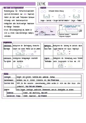 Know Enzyme - Enzymhemmung thumbnail