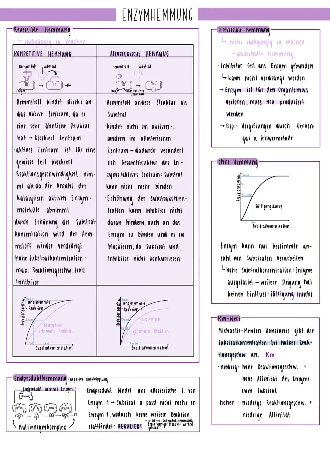 - Was sind sie / Eigenschaften?
· Biokatalysatur für Stoffwechselreaktionen
· spezifisch (bestimmen nur eine Reaktion)
haben ph-Wert und Tem