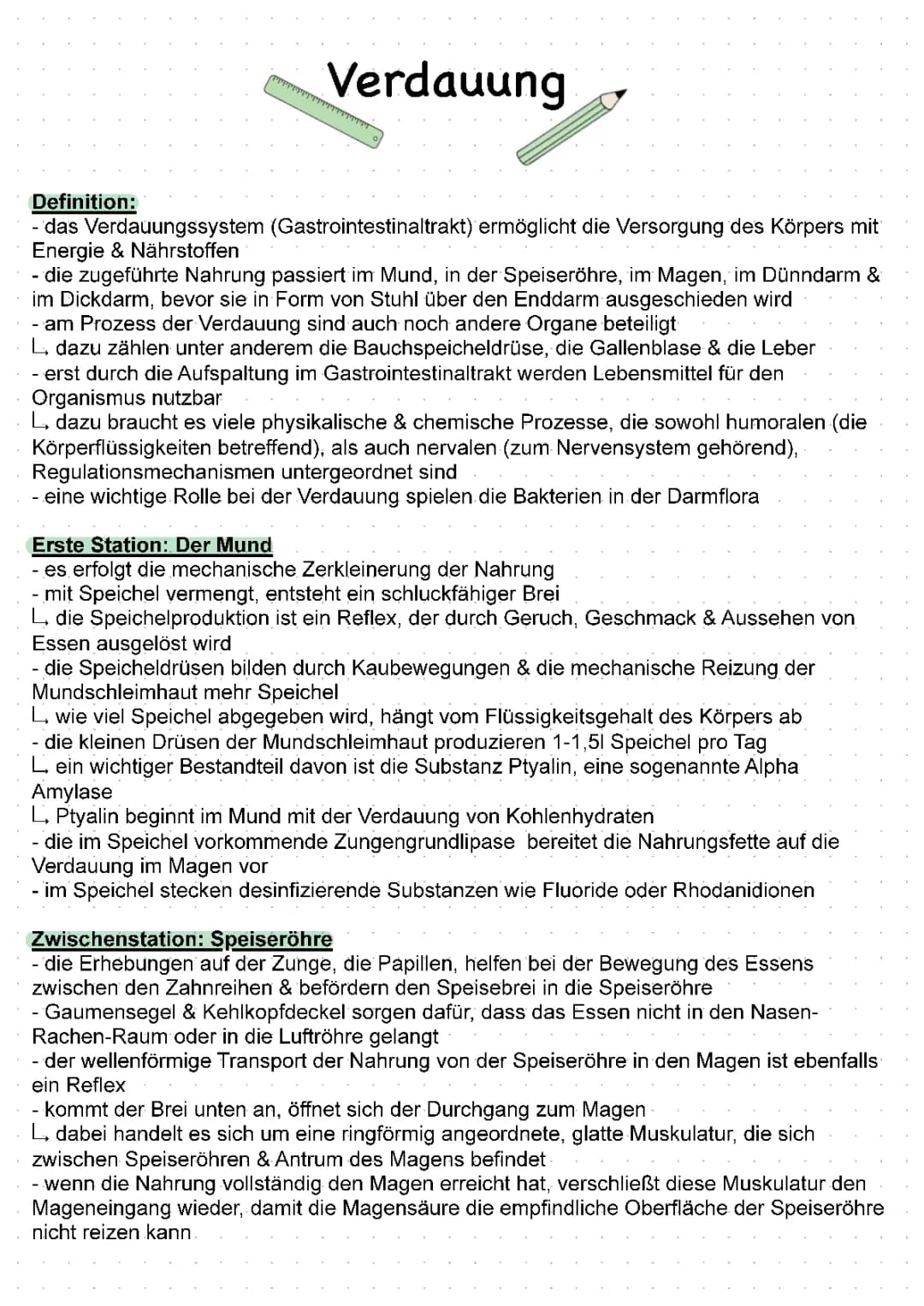 Verdauung 