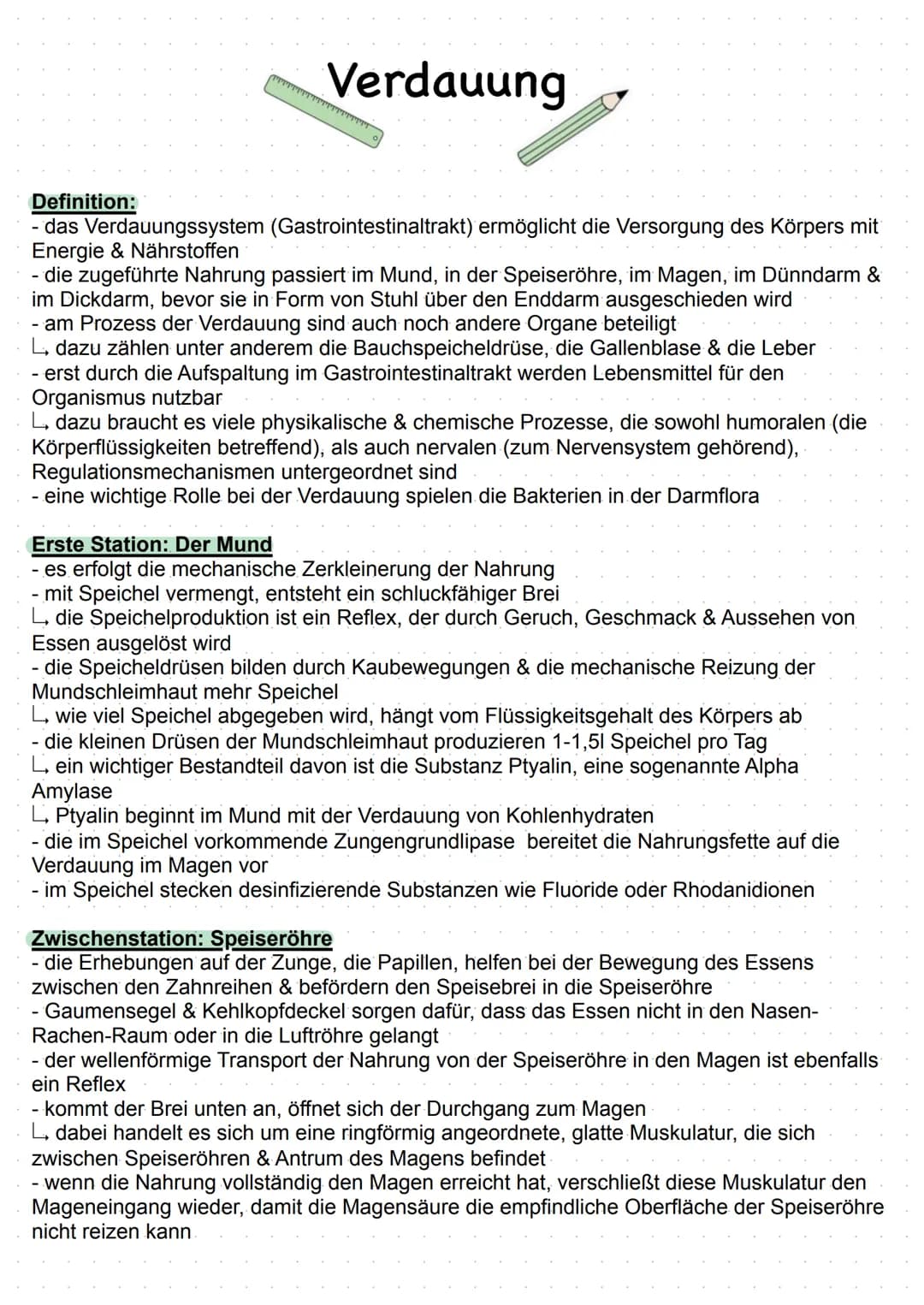 TTTTTTTT
Verdauung
Definition:
- das Verdauungssystem (Gastrointestinaltrakt) ermöglicht die Versorgung des Körpers mit
Energie & Nährstoffe