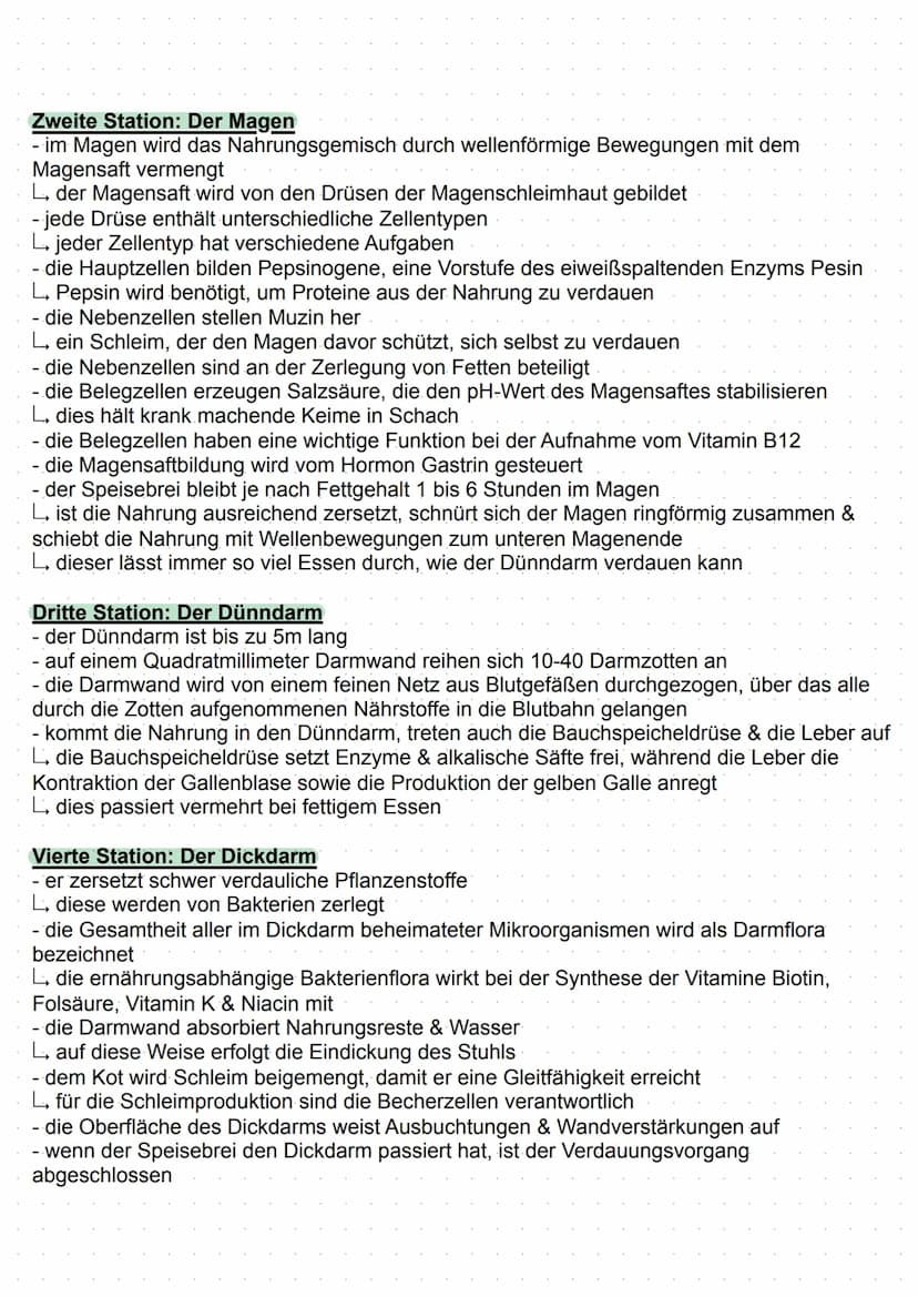 TTTTTTTT
Verdauung
Definition:
- das Verdauungssystem (Gastrointestinaltrakt) ermöglicht die Versorgung des Körpers mit
Energie & Nährstoffe