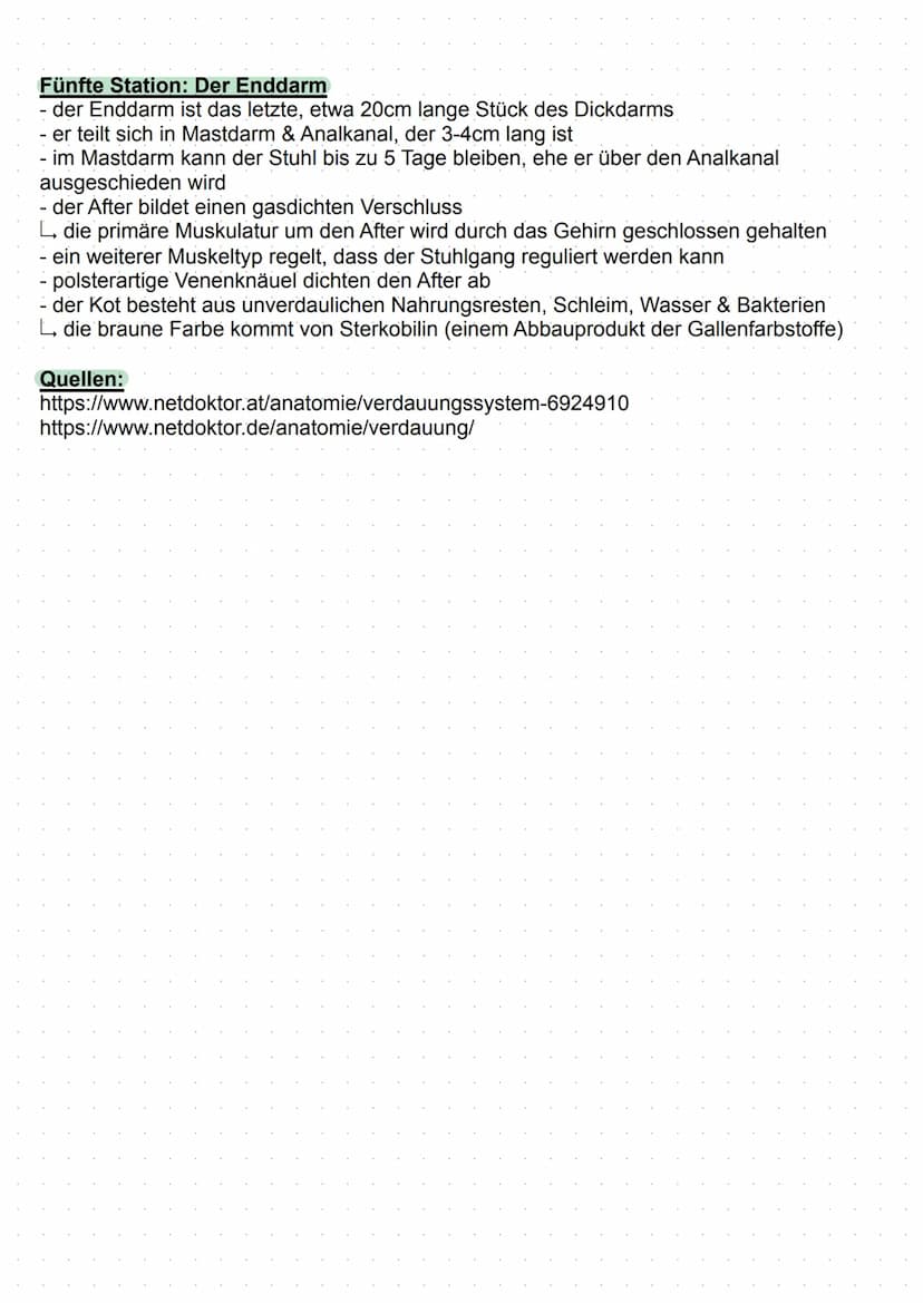 TTTTTTTT
Verdauung
Definition:
- das Verdauungssystem (Gastrointestinaltrakt) ermöglicht die Versorgung des Körpers mit
Energie & Nährstoffe