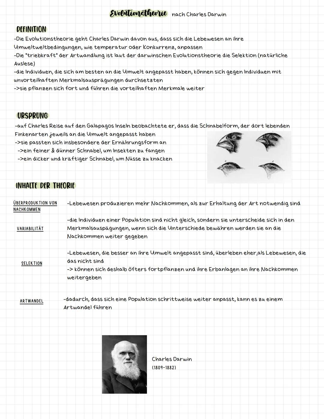 DEFINITION
-Die Evolutionstheorie geht Charles Darwin davon aus, dass sich die Lebewesen an ihre
Umweltweltbedingungen, wie temperatur oder 