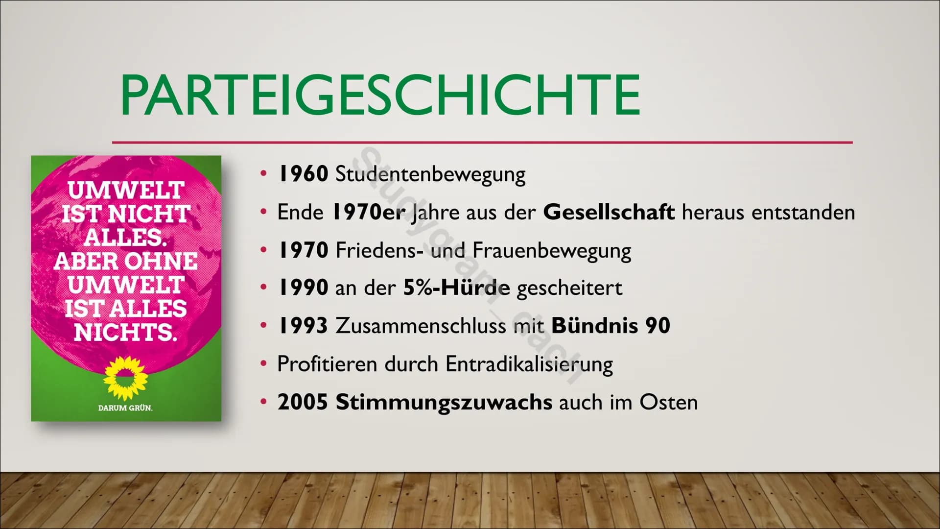 Die Grünen: Gründungsmitglieder, Geschichte und Ziele 2024