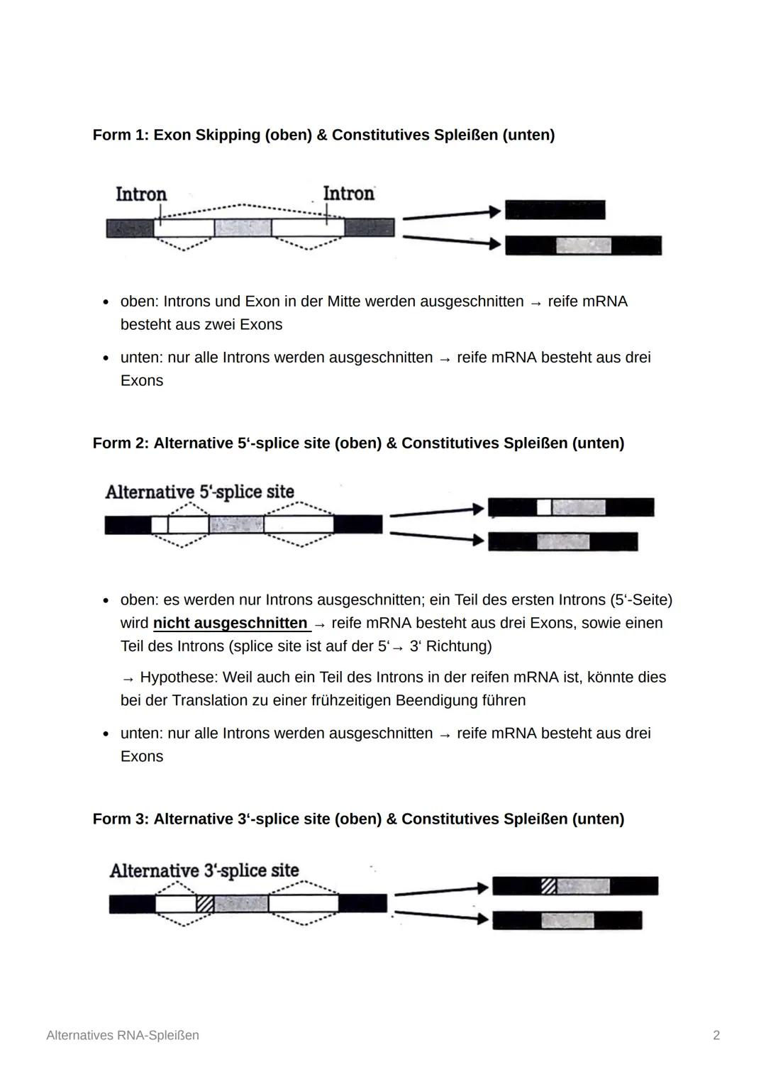 Alternatives RNA-Spleißen
Date
Oberthema Genetik
Thema
@September 22, 2022
Spleißen
Prozess des alternativen Spleißens
Damit aus einem DNA-S