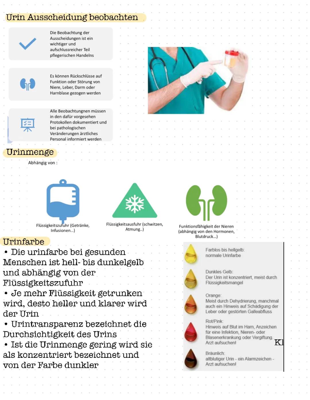 Urin Ausscheidung 