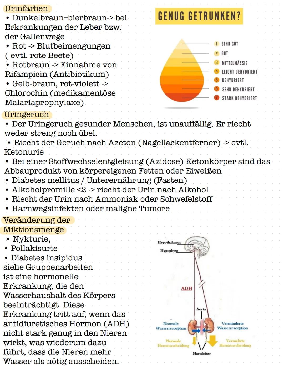 Urin Ausscheidung beobachten
Die Beobachtung der
Ausscheidungen ist ein
wichtiger und
aufschlussreicher Teil
pflegerischen Handelns
Es könne