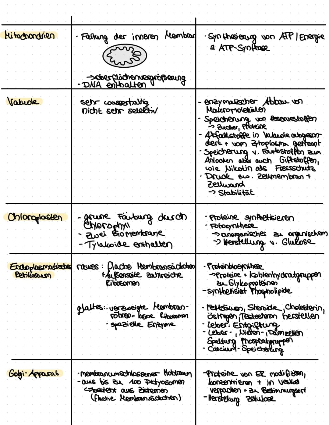 Cytoskelett.
Zellmembran.
Zellwand-
zellplasma
Zell bestandteil
Zellkern
Pflanzenzelle
Vakuole
Chloroplast
Mitochondrium
Golgi-Apparat Cytop