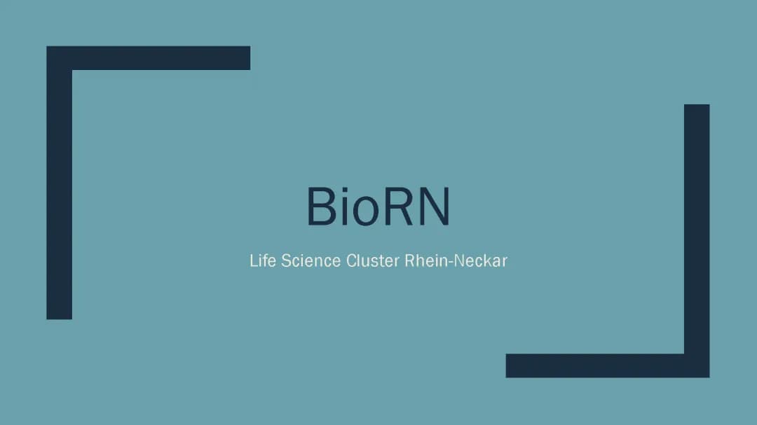 Heidelberg Biotech Firmen und BioRN Cluster – Entdecke das Life Science Wunder