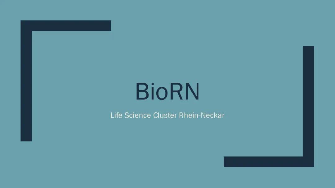 Heidelberg Biotech Firmen und BioRN Cluster – Entdecke das Life Science Wunder