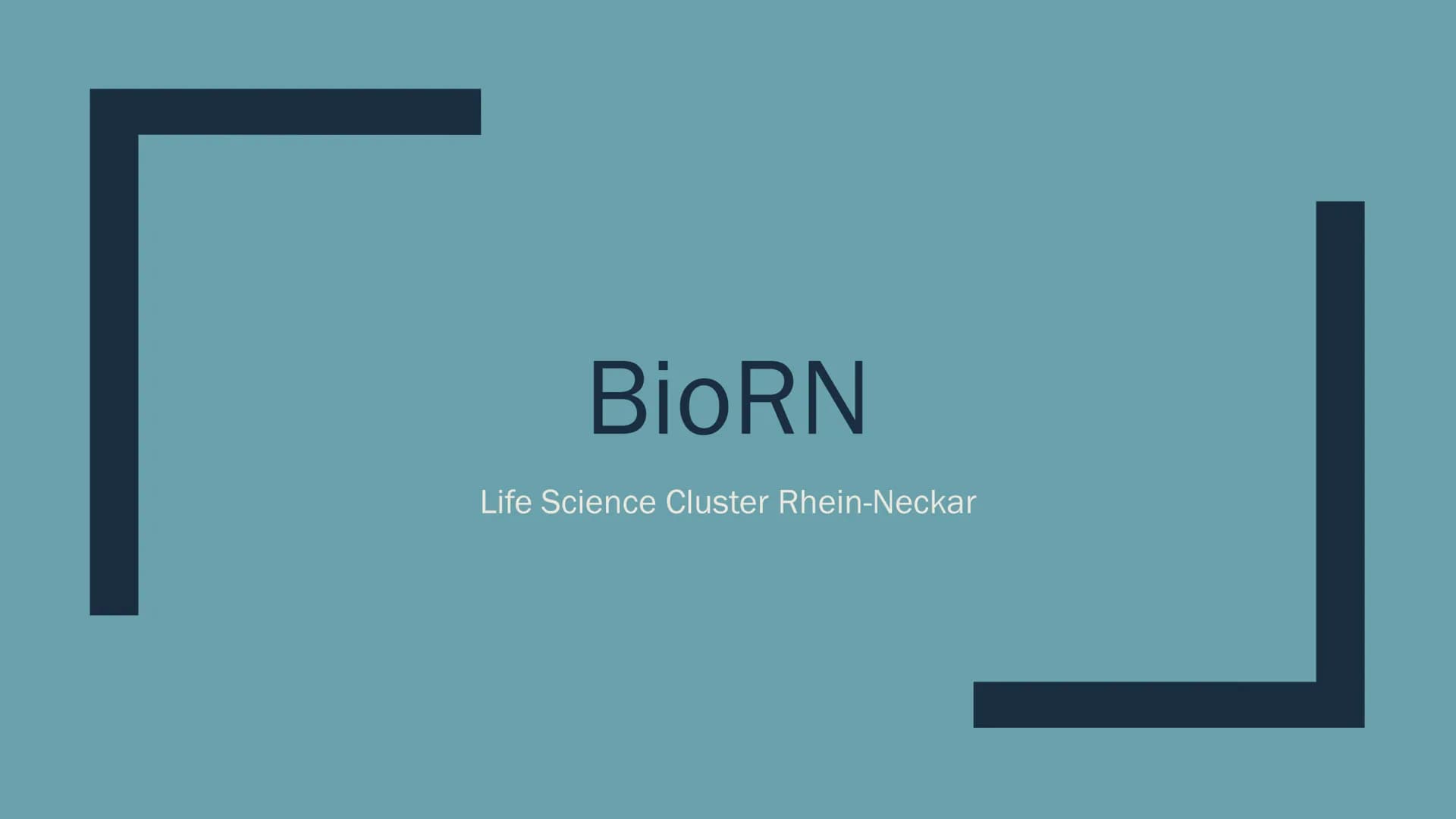 BioRN
Life Science Cluster Rhein-Neckar Gliederung
■ Lage
Wirtschaftsstruktur
Funktionsweise
Vor- und Nachteile BioRn
■ biomedizinisches For