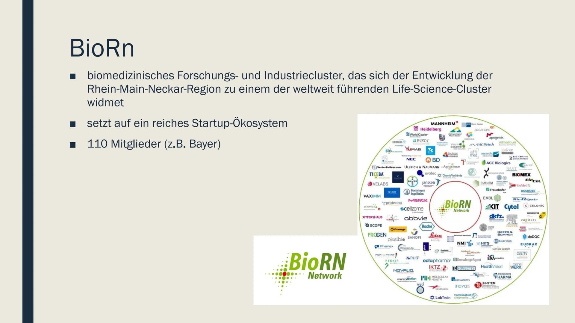 BioRN
Life Science Cluster Rhein-Neckar Gliederung
■ Lage
Wirtschaftsstruktur
Funktionsweise
Vor- und Nachteile BioRn
■ biomedizinisches For