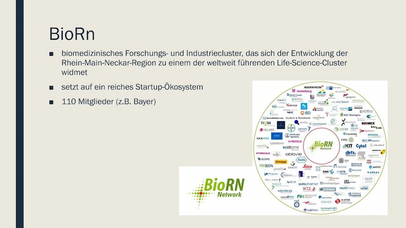 BioRN
Life Science Cluster Rhein-Neckar Gliederung
■ Lage
Wirtschaftsstruktur
Funktionsweise
Vor- und Nachteile BioRn
■ biomedizinisches For