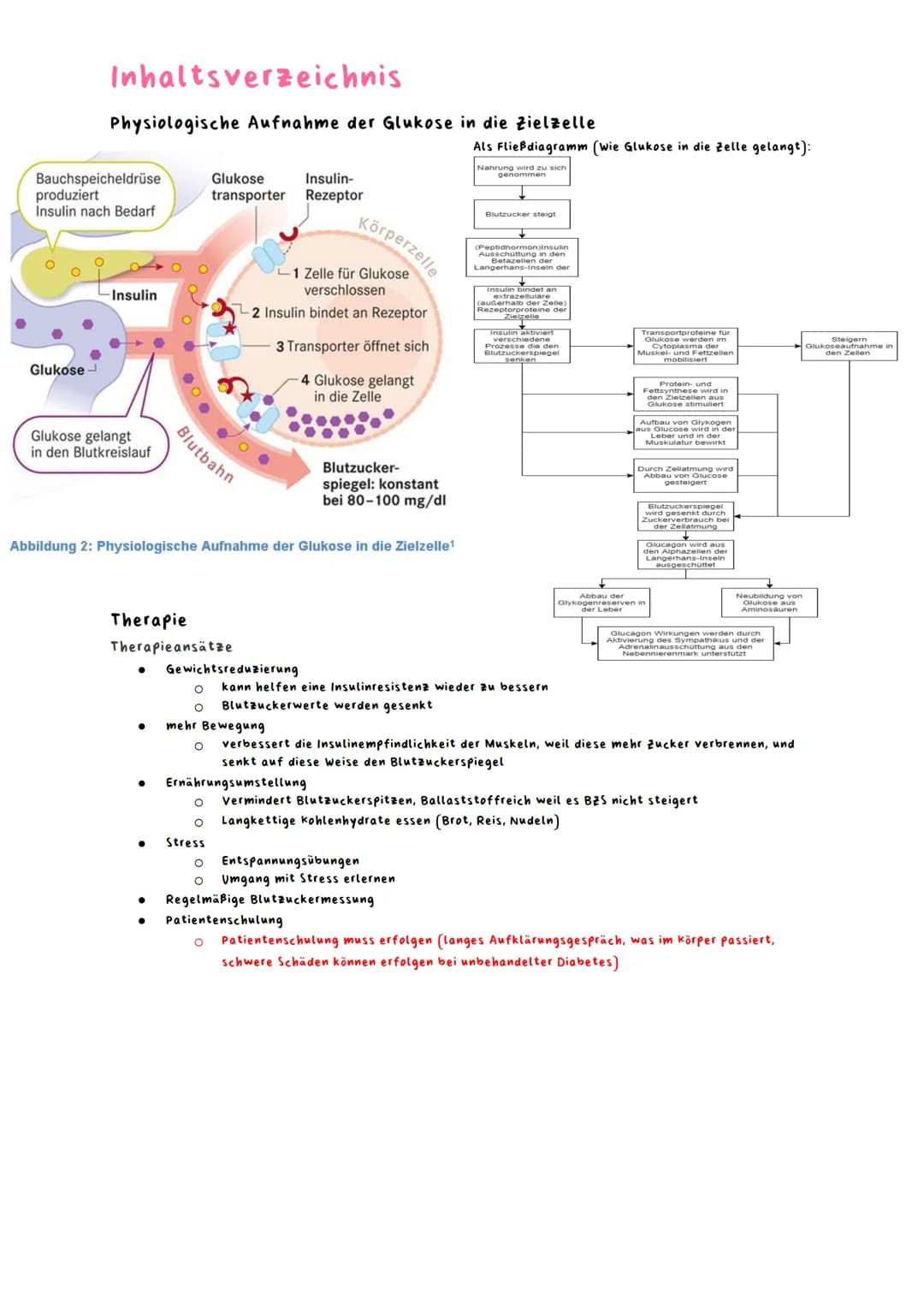 Lernzettel Abitur Gesundheit Diabetes
Name:
Lernzettel Abitur Gesundheit Diabetes
Diabetes
Fach: Gesundheit und Soziales
Thema Diabetes
H
T2