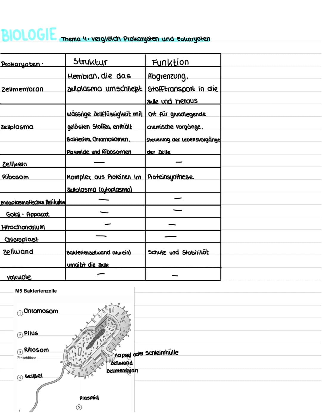 BIOLOGIE
Thema 1: Prinzipien des Lebendigen.
Lebewesen.
- 1 oder viele Zellen.
einen Stoffwechsel
- können sich Fortpflanzen
- können wachse