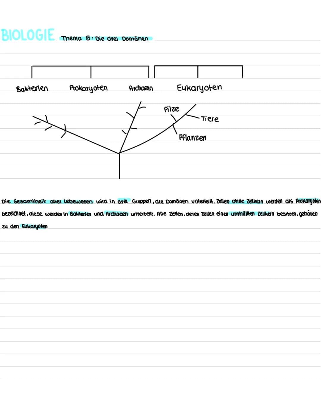 BIOLOGIE
Thema 1: Prinzipien des Lebendigen.
Lebewesen.
- 1 oder viele Zellen.
einen Stoffwechsel
- können sich Fortpflanzen
- können wachse