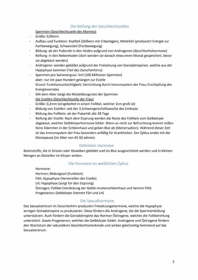 Primäre Geschlechtsmerkmale
(lat. prims der erste)
Die primären Geschlechtsorgane sind von Geburt an vorhanden. Die männlichen (primären)
Ge