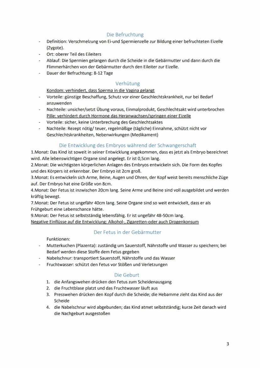 Primäre Geschlechtsmerkmale
(lat. prims der erste)
Die primären Geschlechtsorgane sind von Geburt an vorhanden. Die männlichen (primären)
Ge