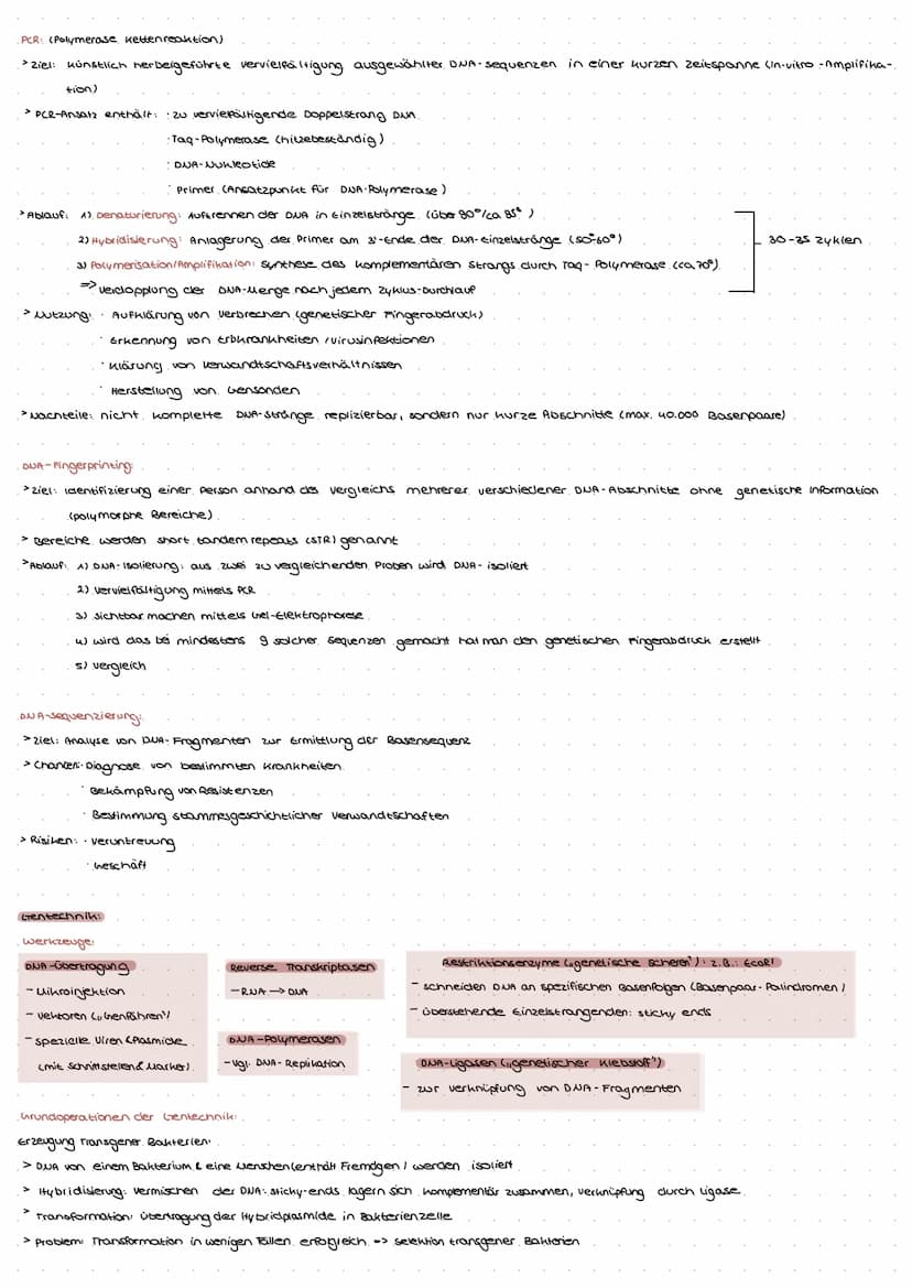DNA: TRAGER DER ERBINFORMATION.
Experimentelle Beweise:
GRIFFITH 1928: tote virulente Bakterien und
lebende, nicht virulente Bakterien in vo