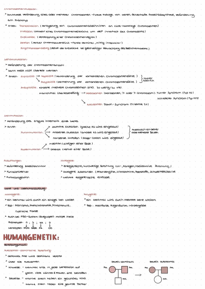 DNA: TRAGER DER ERBINFORMATION.
Experimentelle Beweise:
GRIFFITH 1928: tote virulente Bakterien und
lebende, nicht virulente Bakterien in vo