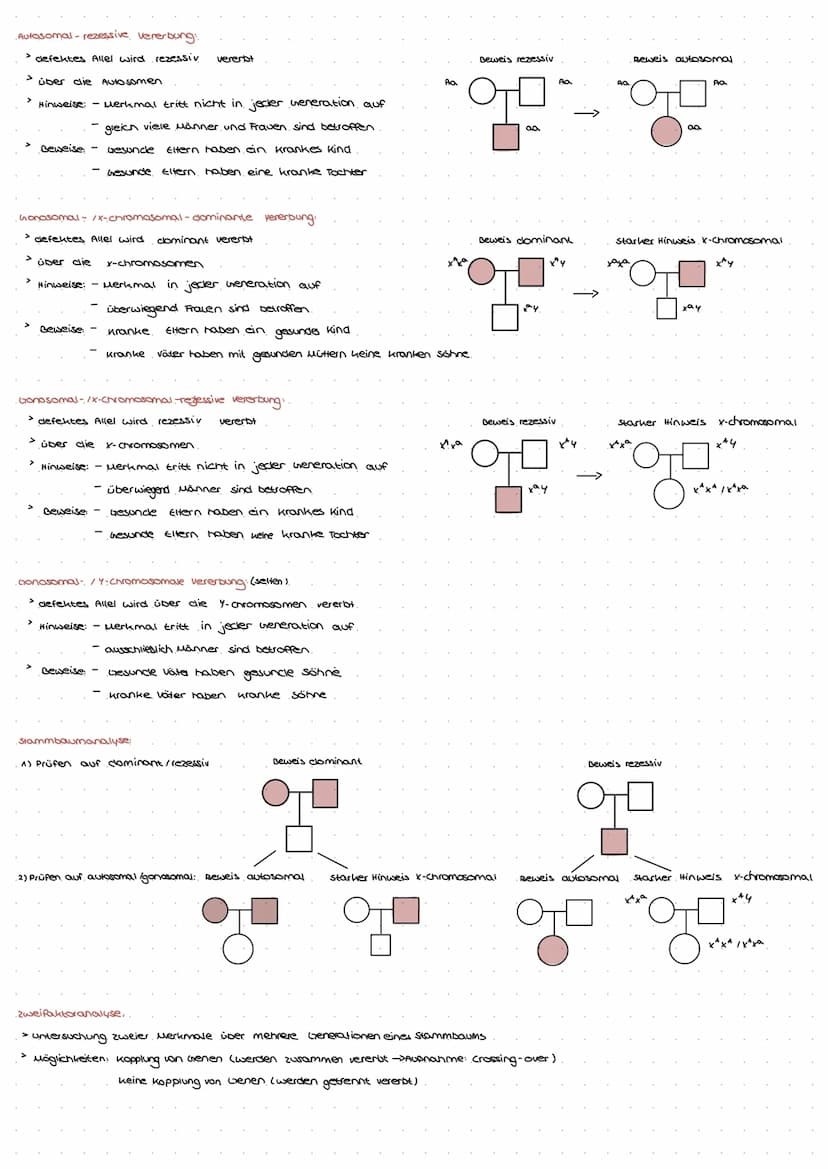 DNA: TRAGER DER ERBINFORMATION.
Experimentelle Beweise:
GRIFFITH 1928: tote virulente Bakterien und
lebende, nicht virulente Bakterien in vo