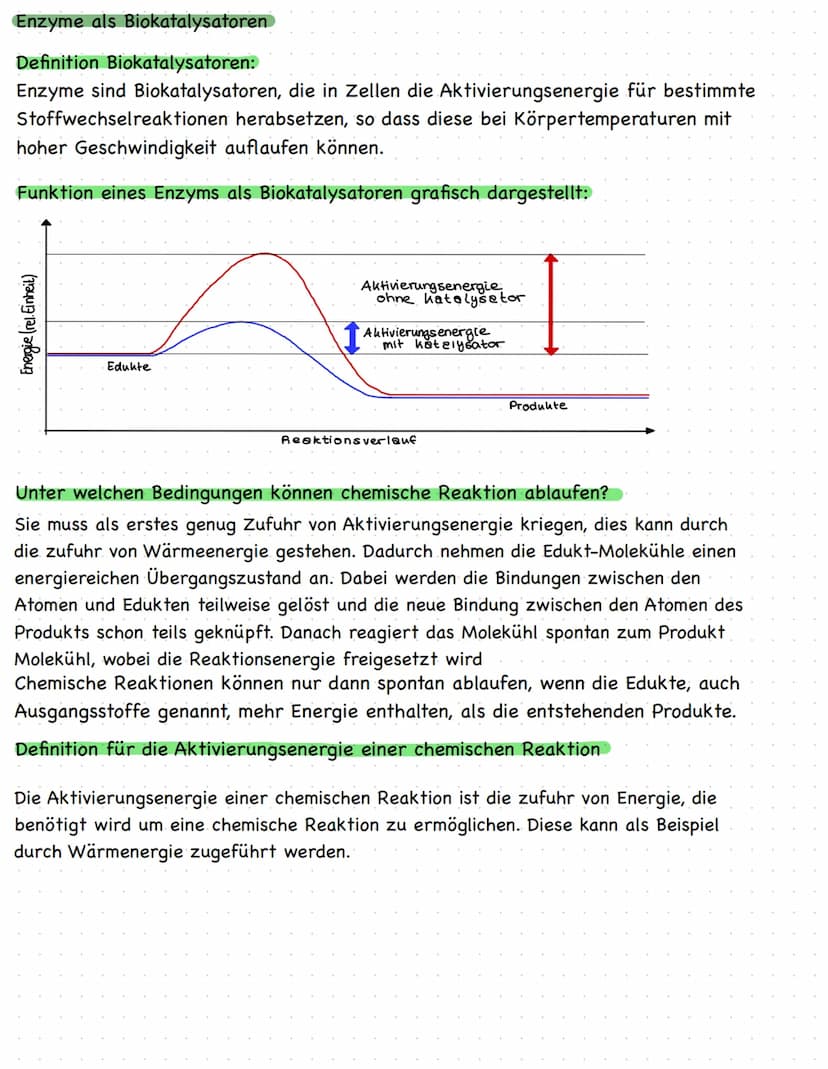 KLAUSURVORBEREITUNG
Struktur einer Aminosäure mit funktionellen Gruppen
Aufbau von Proteinen
Themen:
●
● Enzyme als Biokatalysatoren
Substra