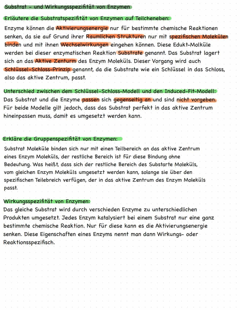 KLAUSURVORBEREITUNG
Struktur einer Aminosäure mit funktionellen Gruppen
Aufbau von Proteinen
Themen:
●
● Enzyme als Biokatalysatoren
Substra