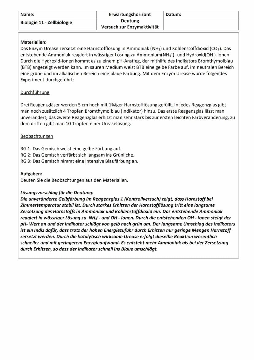 KLAUSURVORBEREITUNG
Struktur einer Aminosäure mit funktionellen Gruppen
Aufbau von Proteinen
Themen:
●
● Enzyme als Biokatalysatoren
Substra