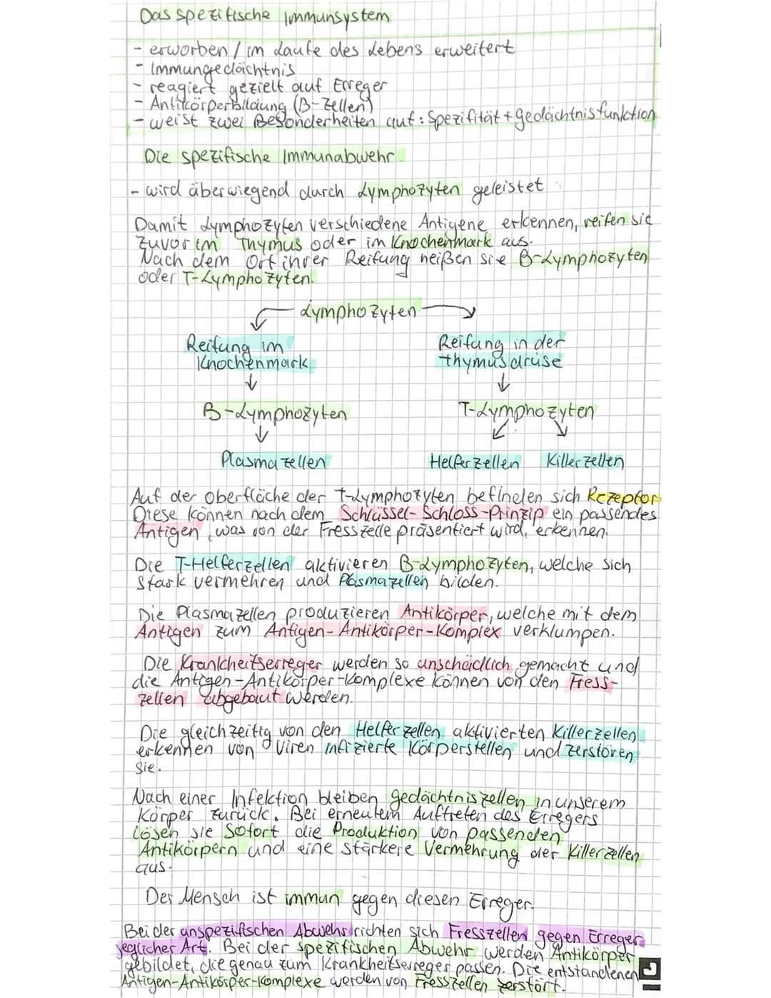 # Das Immunsystem

Das Immunsystem richtet sich gegen Antigene

Antigene Körperflemde Substanz, die eine Abwehrreaktion
hervorruft (2 B. Bes