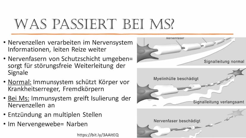 THE KRANKE
DIE KRANKHEIT DER
1000 GESICHTER
https://bit.ly/3AAltEQ
Von: Laura Bernhard
Sterose THEMEN
• Was ist Multiple Sklerose und wie hä