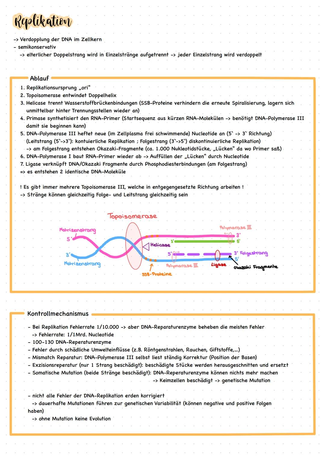 # Klausur 1
14.11.22

# Aufbau der DNA

Struktur

|                               | DNA                                                     