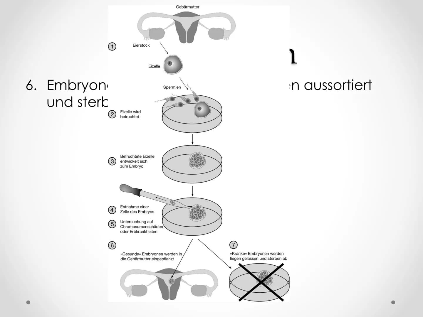 PID
Präimplantationsdiagnostik
GFS im Fach Biologie Gliederung
1. Allgemeines
2.
3. Verfahren
4. Ethische Aspekte
5. Rechtslage in Deutschla