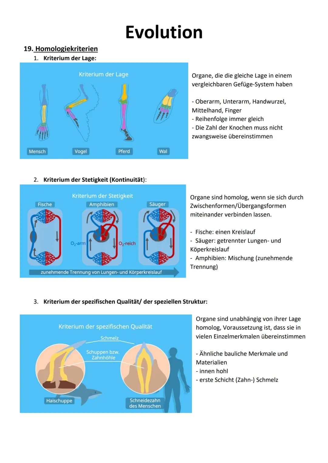 1. Charles Darwin - Evolutionstheorie
Moderne Evolutionstheorie/synthetische
,,struggle for life"
-
Evolution
2. Jean Baptiste de Lamarck
→ 