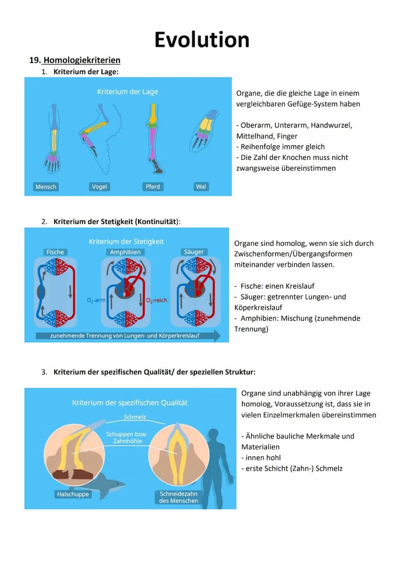 1. Charles Darwin - Evolutionstheorie
Moderne Evolutionstheorie/synthetische
,,struggle for life"
-
Evolution
2. Jean Baptiste de Lamarck
→ 
