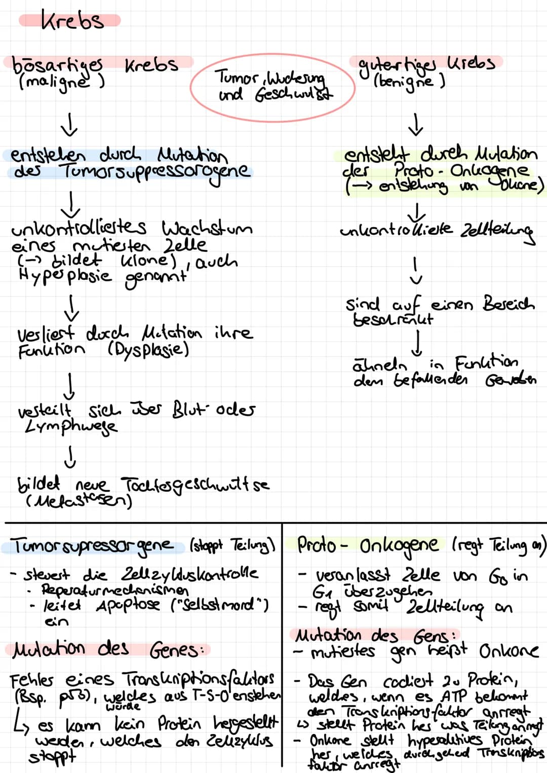 Krebs
bösartiges
maligne Krebs
Tumor, Wucherung
und Geschwulst
↓
entstehen durch Mutation
des Tumorsuppressorogene
↓
unkontrolliertes Wachst
