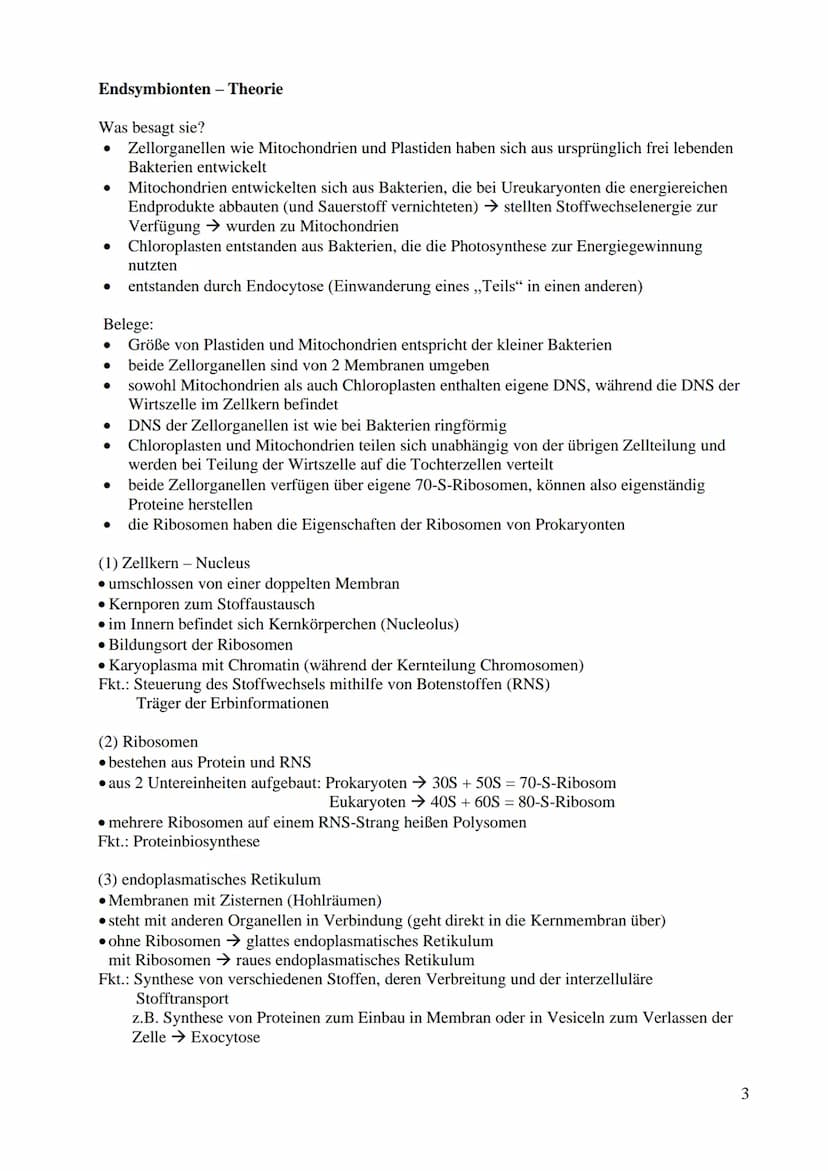 Bau und Funktion der Prozyte (Prokaryot)
● dazu gehören Bakterien und Blaualgen
kein echter Zellkern
keine Gliederung in Kompartimente/Organ