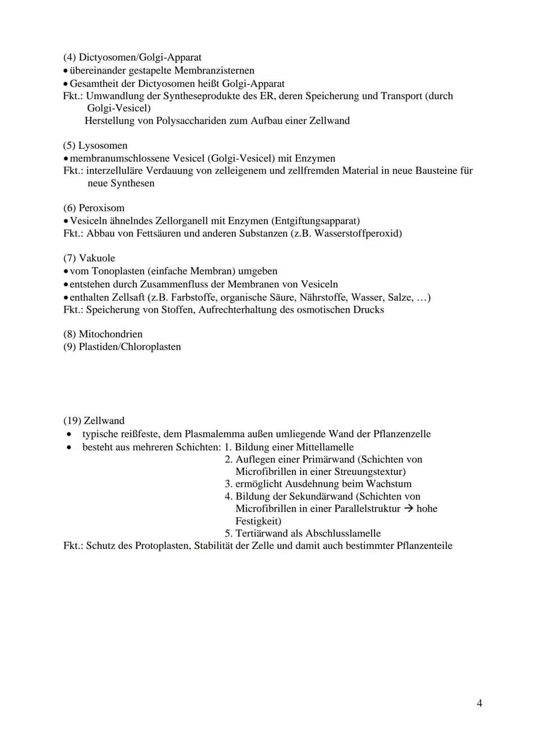 Bau und Funktion der Prozyte (Prokaryot)
● dazu gehören Bakterien und Blaualgen
kein echter Zellkern
keine Gliederung in Kompartimente/Organ