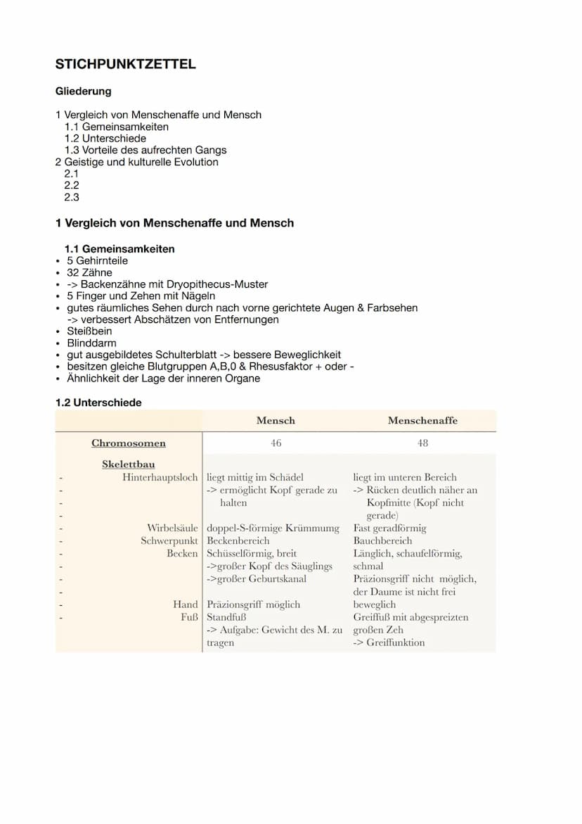 EVOLUTION
DES MENSCHEN
12. Klasse
統 STICHPUNKTZETTEL
Gliederung
1 Vergleich von Menschenaffe und Mensch
1.1 Gemeinsamkeiten
1.2 Unterschiede