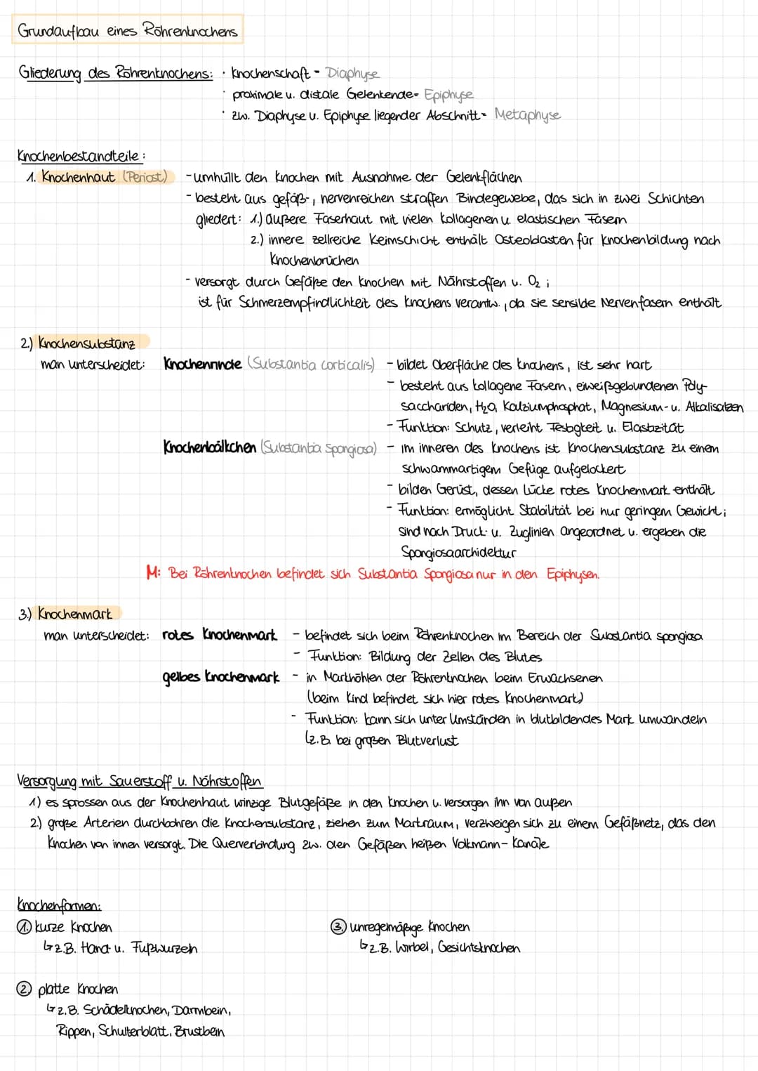 Grundaufbau eines Röhrenknochens
Gliederung des Röhrenknochens: · Knochenschaft Diaphyse
Knochenbestandteile:
1. Knochenhaut (Periost) - umh