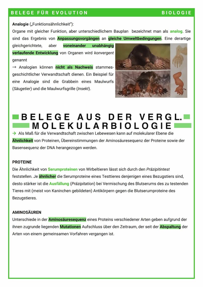 BELEGE FÜR EVOLUTION
→ Die Evolution der Arten, d.h. ihre Entstehung und ihr Wandel, lässt sich auf verschiedene Arten
belegen.
BELEGE FÜR
E