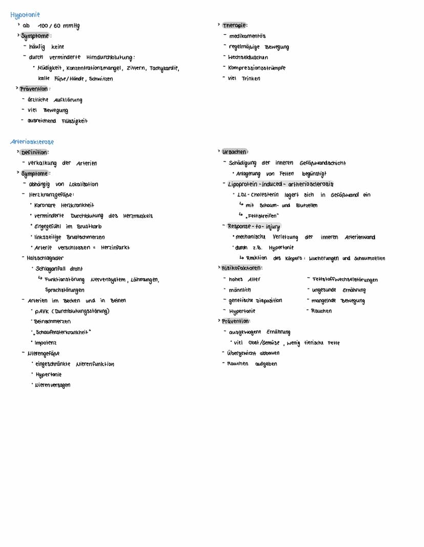 Klausur 2
Inhalte
> Aufbau des Gefäßsystems
- Aufbau und Funktion von Arterien, Arteriolen
-Aufbau und Funktion von
venen, Venolen
- Aufbau 