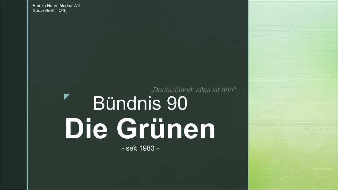 Bündnis 90- Die Grünen