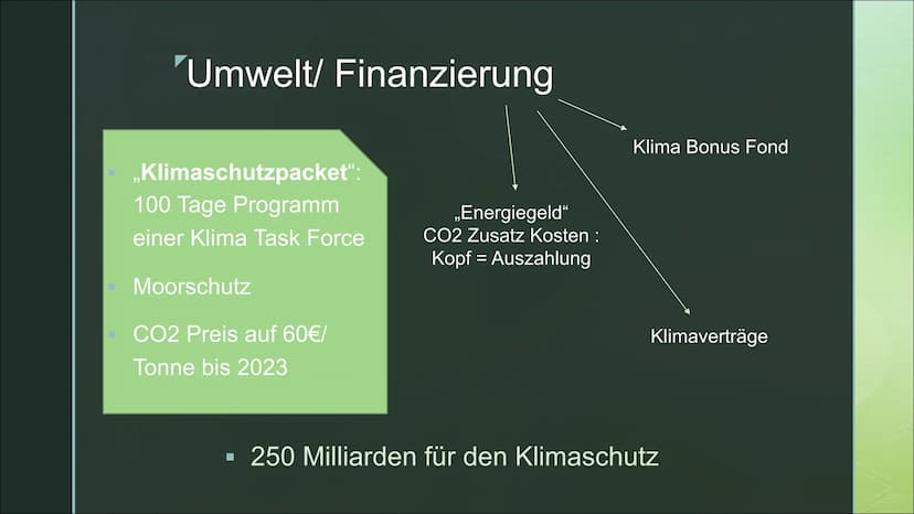 Franka Hahn, Medea Will,
Sarah Brell - Q1b
..Deutschland: alles ist drin“
Bündnis 90
Die Grünen
- seit 1983 - Verkehr
▪ Vision Zero: Tempoli