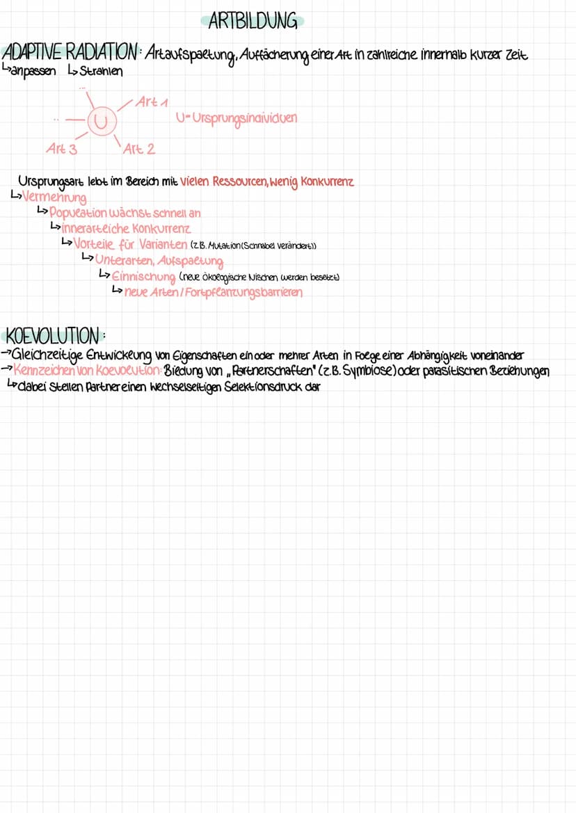 2 KLAUSUR EVOLUTION
ARTBILDUNG
allos-andersi patria-Heimat
ALLOPATRISCHE Entstehung einer neuen Art im Gebiet der Ursprungsart durch räumeic