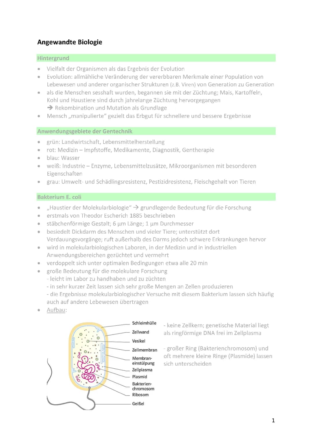 Angewandte Biologie und Gentransfer einfach erklärt - Was ist die Arbeit und was kann man damit machen?