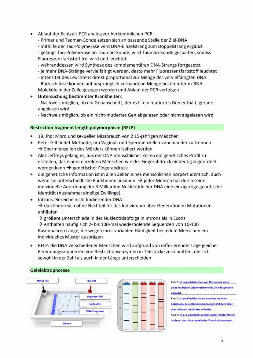 Angewandte Biologie
Hintergrund
● Vielfalt der Organismen als das Ergebnis der Evolution
Evolution: allmähliche Veränderung der vererbbaren 