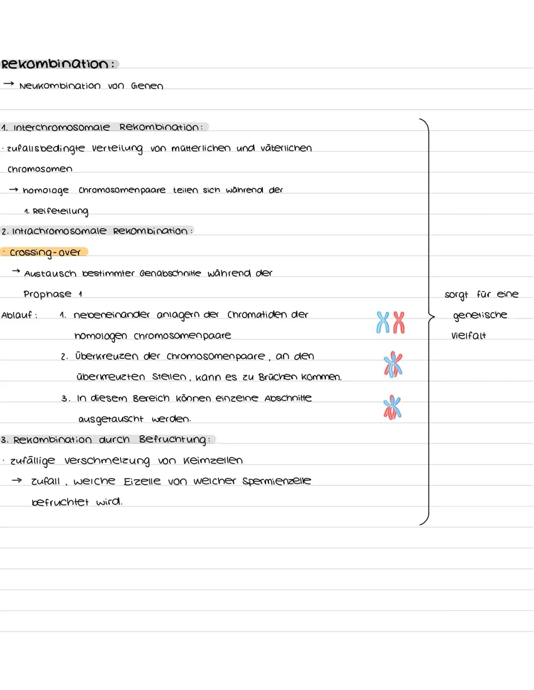 Populationen:
K- und R-Strategen.
→ verschiedene Strategien zum populationswachstum
K-Strategen
geringe vermehrungsrate
lange Generationsdau