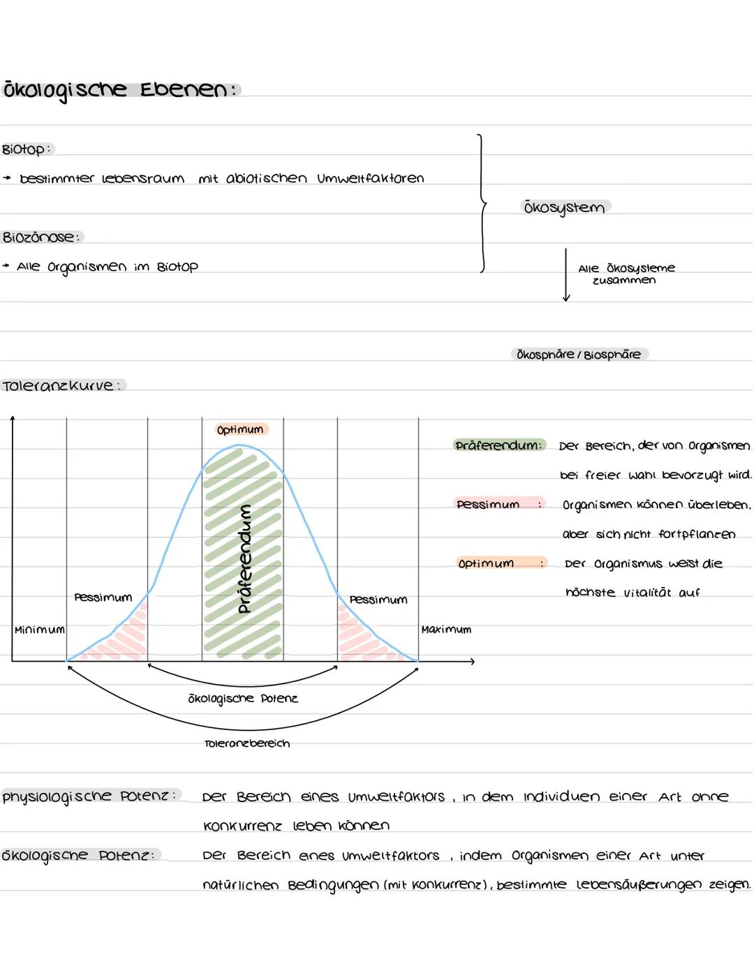 Populationen:
K- und R-Strategen.
→ verschiedene Strategien zum populationswachstum
K-Strategen
geringe vermehrungsrate
lange Generationsdau